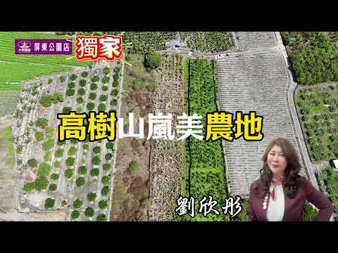 高樹鄉-泰福段農地出售 第1張共8張