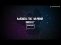 Hardwell - Birds Fly feat Mr. Probz [Lyrics] 