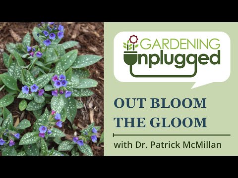 Gardening Unplugged - Out Bloom the Gloom with Dr. Patrick McMillan