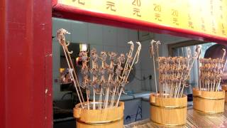 Live scorpions for sale! Live scorpions for sale!