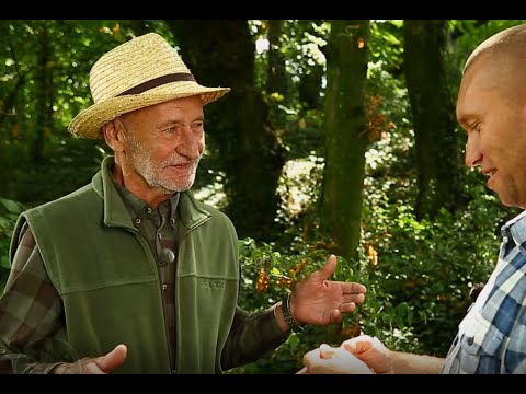 Reviczkyvel az Erdőben – Natúrparkok – 2021-I. évad - 6/6 - Pro Vértes Natúrpark