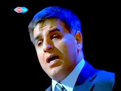 Su gelir daşa değir - Cavit Tebrizli