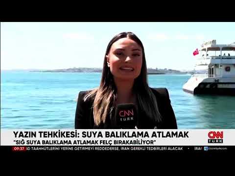 Sığ Suya Balıklama Atlamanın Gizli Tehlikesi