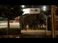 Ringling Bros Circus Presents Dragons 2012 Federal Violations