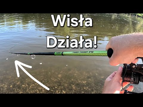 Zimowa Wisła Mnie Zaskoczyła! Lepiej niż myślałem! Klasyczny Rzeczny Feeder na PZW!