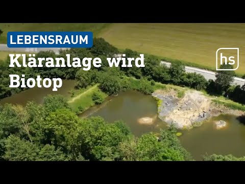 Kläranlage wird neuer Lebensraum für Tiere | hessenschau