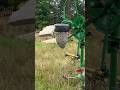 A massive HORNET nest hit and run!  #hornets #hornetnest #wasps #yellowjackets #insects #bees