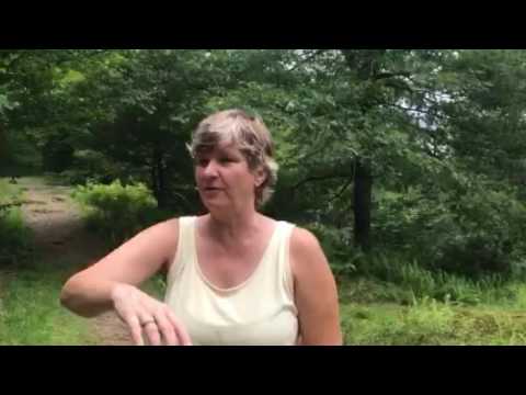 download lagu mp3 mp4 Blueberries Taste Like Nothing, download lagu Blueberries Taste Like Nothing gratis, unduh video klip Blueberries Taste Like Nothing