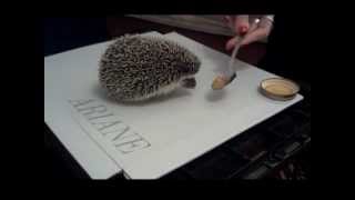 Soma and the baby food