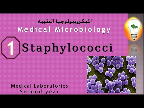 Medical Microbiology 0 introduction نظرة عامة ومقدمة لعلم الميكروبيولوجي
