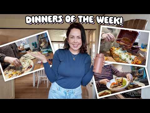 Family Meals This Week | Budget, QUICK, Easy | Feb 2026