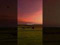 Malang Sajna 🩵 Slowed Reverb Song Aesthetic ️ StatusLove StatusNew SadStatus