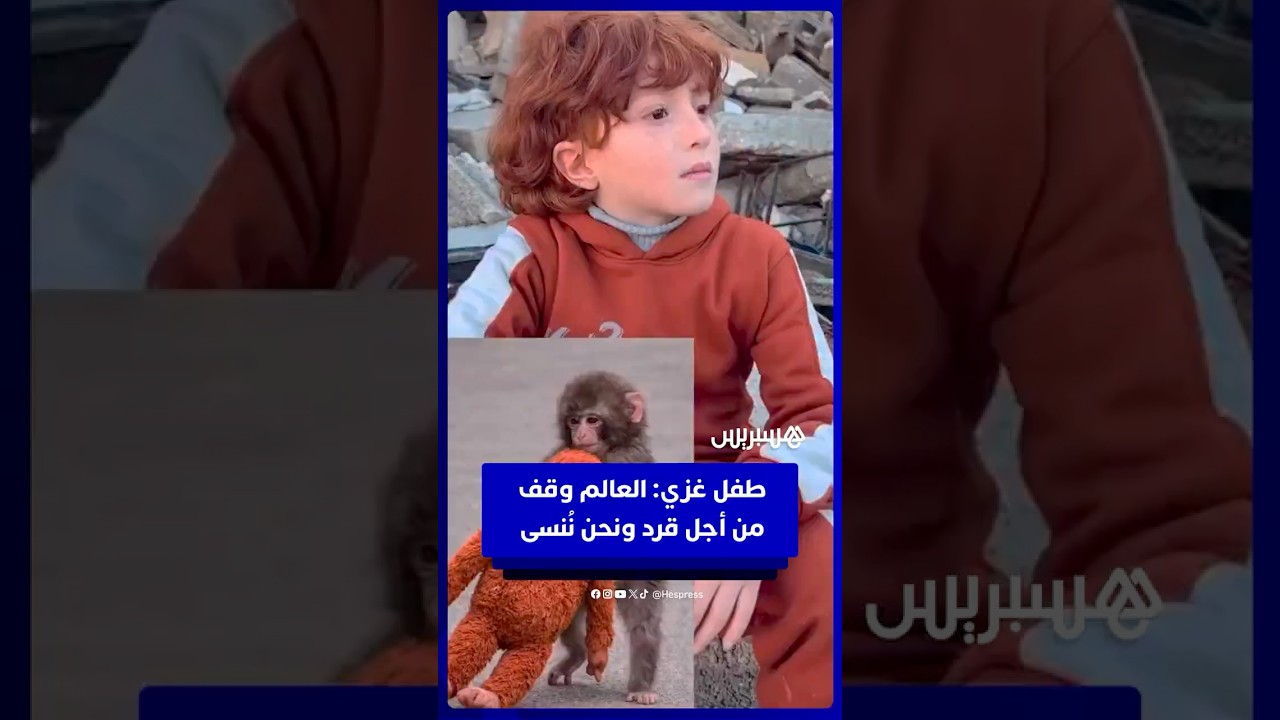 طفل غزي: العالم وقف من أجل قرد ونحن نُنسى thumbnail