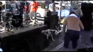 Sublime Lou Dog Under The Stage 8-19-1995 16:9 Widescreen