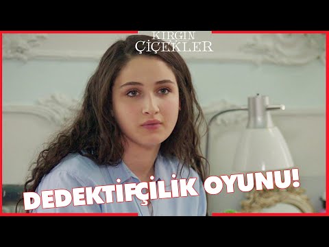 Kırgın Çiçekler Özel Kısa Bölümler | 146