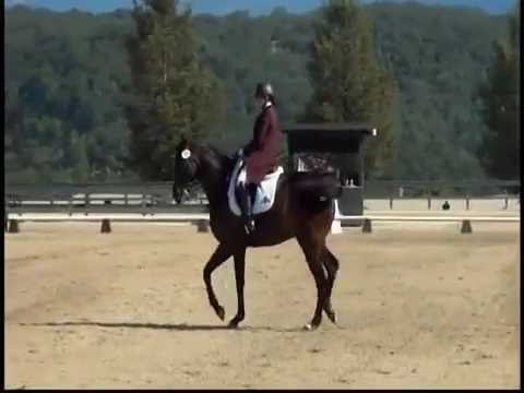 Young Rider Individual Test