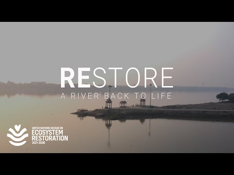 Indien säubert den Ganges. So geht's.