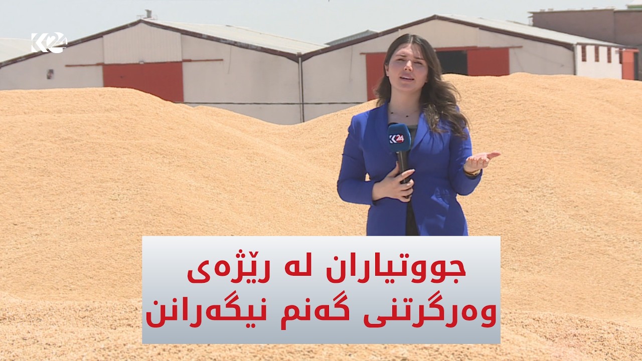 ڤیدیۆ | رێژەی وەرگرتنی گەنم جووتیارانی نیگەران کردووە