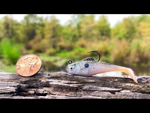 TINY Swimbait Fishing Challenge (Micro Lure)