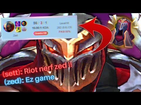 Why EVERYONE Loves ZED...