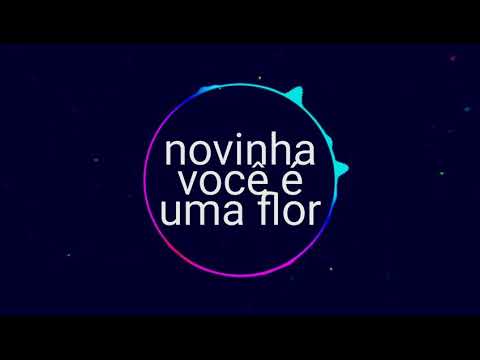 Mcs Thin e Alexandre - Novinha Você É Uma Flor (Bass boosted)