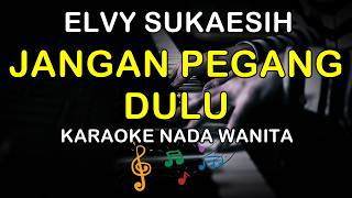 Download lagu JANGAN PEGANG DULU - KARAOKE NADA WANITA ( ELVY SUKAESIH ) mp3 Download lagu JANGAN PEGANG DULU - KARAOKE NADA WANITA ( ELVY SUKAESIH ) mp3