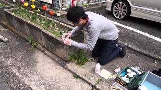 ishizuka jp