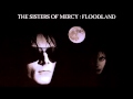 The Sisters of Mercy HD: Floodland Album REMASTERED