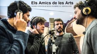 Els Amics de les Arts - Els bons fotògrafs (acords i lletra)