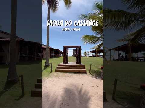 Conheça a Lagoa do Cassange Maraú Bahia #shorts