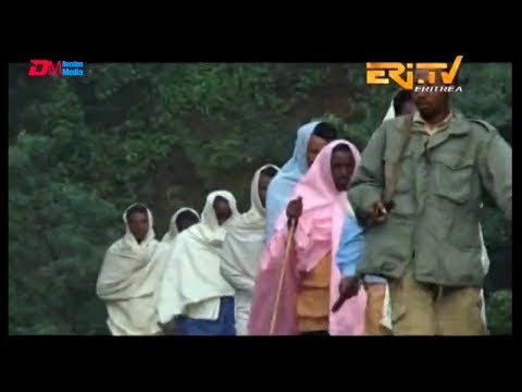 ERi TV True Story: ገድሊ ንገድሊ - ዛንታ 800 መንእሰያት ናብ ገድሊ ክጽንበሩ ዘሕለፍዎ መሪር ጉዕዞ -  The Long Journey