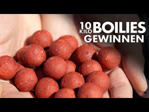 Wundermittel Enzyme?! Die Nutrazym Range der Bait Fabrik im Unboxing