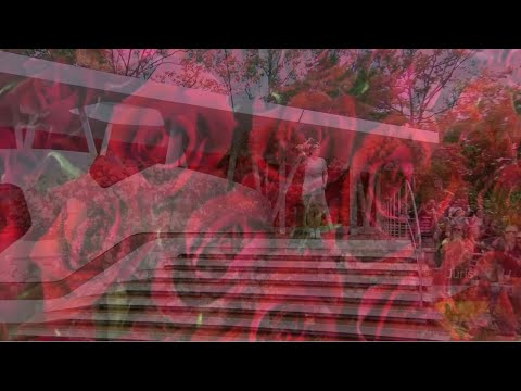 Anna-Maria Zimmermann - 1 Million rote Rosen(Butt MIX)