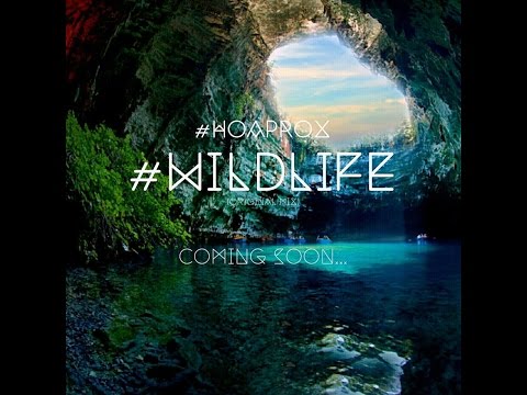 Hoaprox ft.Bá Hưng - WILDLIFE (Original mix) (Teaser)