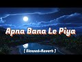 Apna Bana Le Piya Lofi Song Slowed Reverb Varun Dhawan Arjit Sing New Love Song 2025