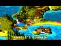 Donkey Kong Country 3 SNES Banana Bird 10 Bramble S Banana Bird