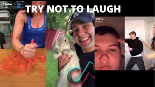If you Laugh you owe me $100 | Tik Tok meme compilation