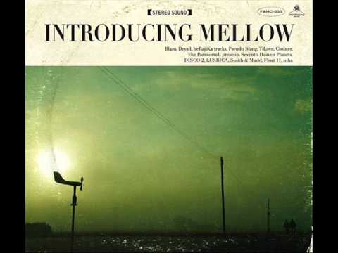 Pseudo Slang - Venice