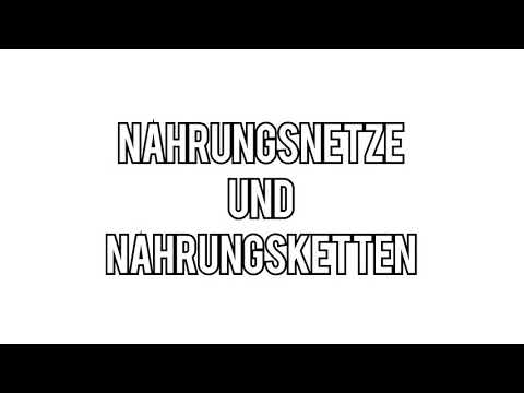Nahrungsbeziehungen - Nahrungsnetze & Nahrungsketten