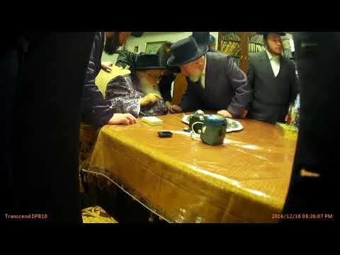 Viznitz Monsey Rebbe  ZT'L Visting  Liska Rebbe Shlita