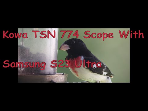 Kowa TSN 774 Image Quality 4k Samsung S23 Ultra