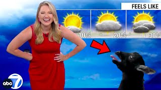 Best News Bloopers July 2023