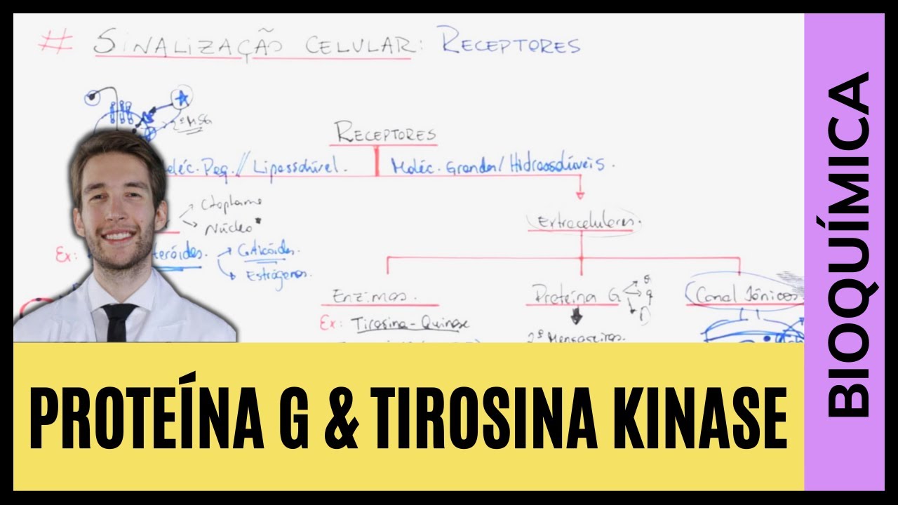 RECEPTORES, PROTEÍNA G, TIROSINA QUINASE