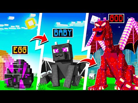 EPIC Minecraft Evolution: Baby Dragon to Almighty God Dragon!