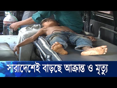 করোনা উপসর্গ নিয়ে ৭ জেলায় ১৩ জনের মৃত্যু, বাড়ছে শনাক্তের সংখ্যাও | ETV News