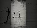 Toxic BoyWithUke Lyrics Song Lyrics Toxic Boywithuke Lyrics Songlyrics Shorts