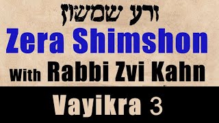 זרא שימשון ויקרא #3 5780 - רבי צבי קאן