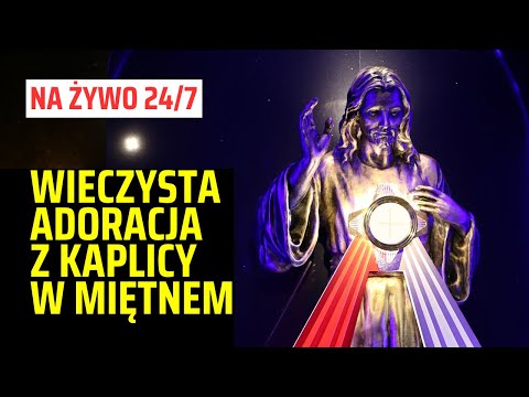 Adoracja Najświętszego Sakramentu z Kaplicy Wieczystej Adoracji w Miętnem - transmisja na żywo 24/7