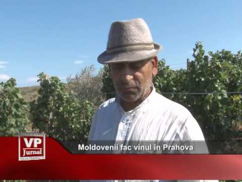 Moldovenii fac vinul în Prahova