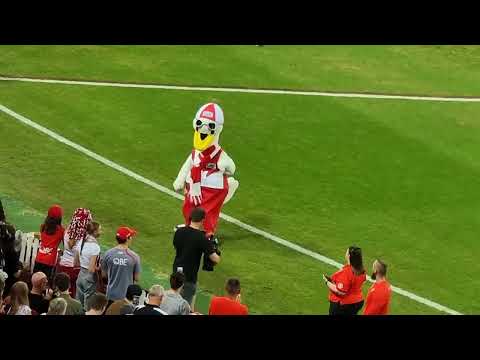 AFL Cyggy the Swan @ SCG  Round 1, 2024